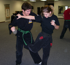 Kenpo Shot